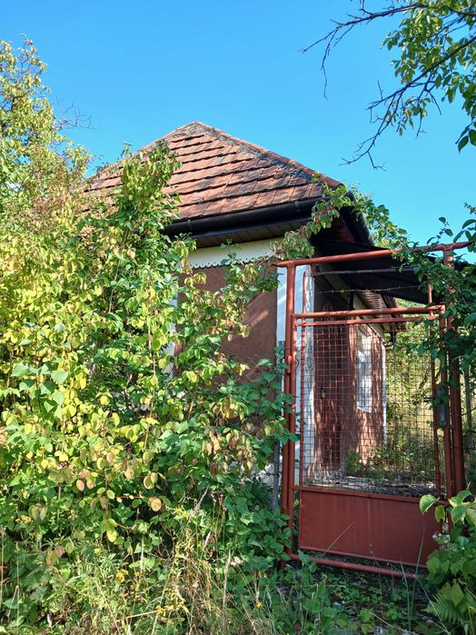 Дача біля термального басейну в Берегові з садовою ділянкою 6.5 соток