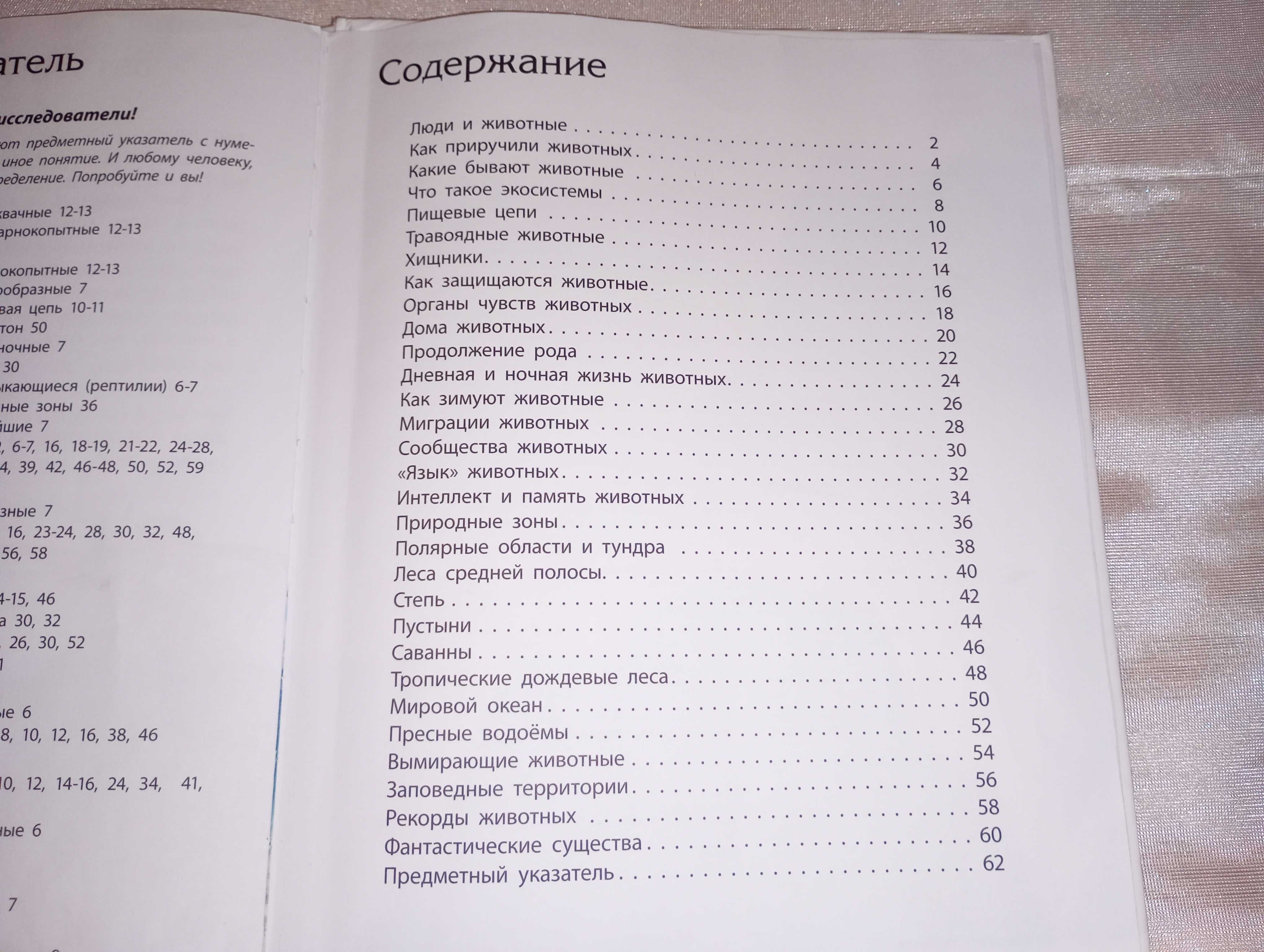 Книга детская Животный мир познаем и исследуем Елена Котенко