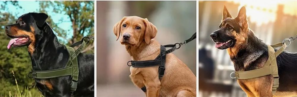 Coleira peitoral Cão porte grande