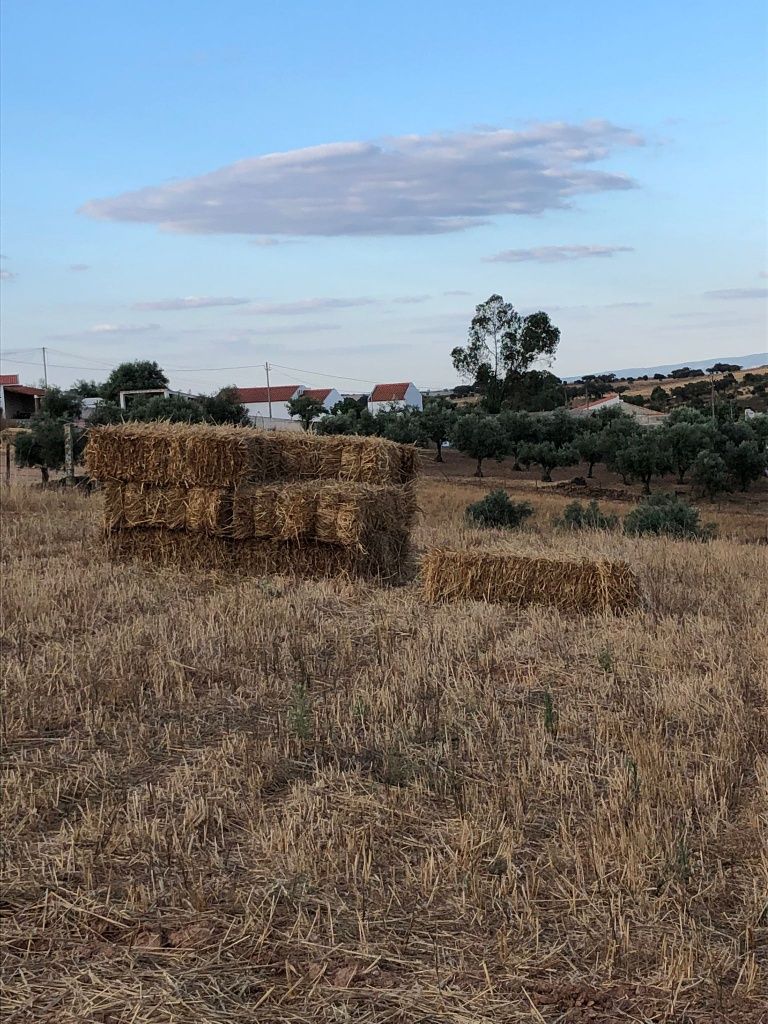 Fardos de Feno de Mistura