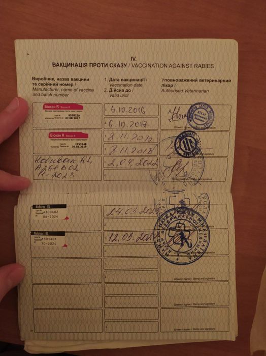 Потрібна наречена