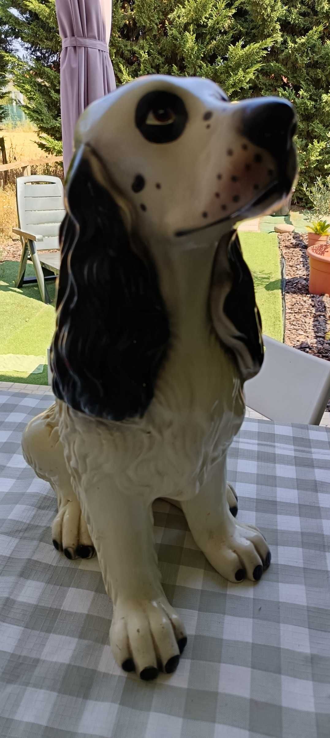 Joe (o Cocker de loiça)