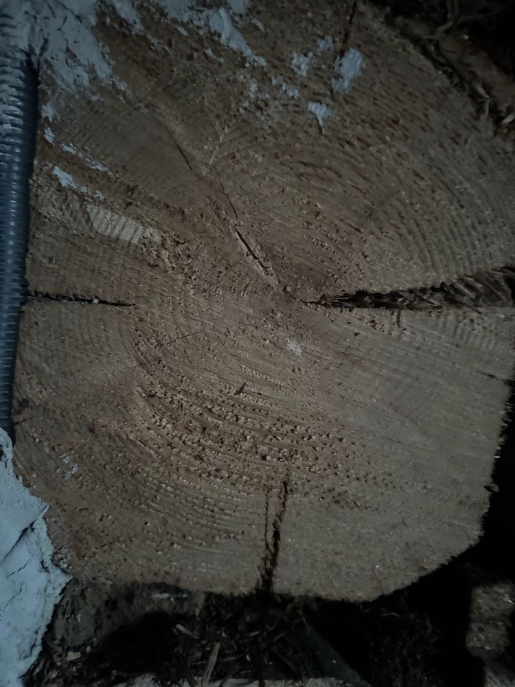 Dom do rozbiórki z drewnianymi belami