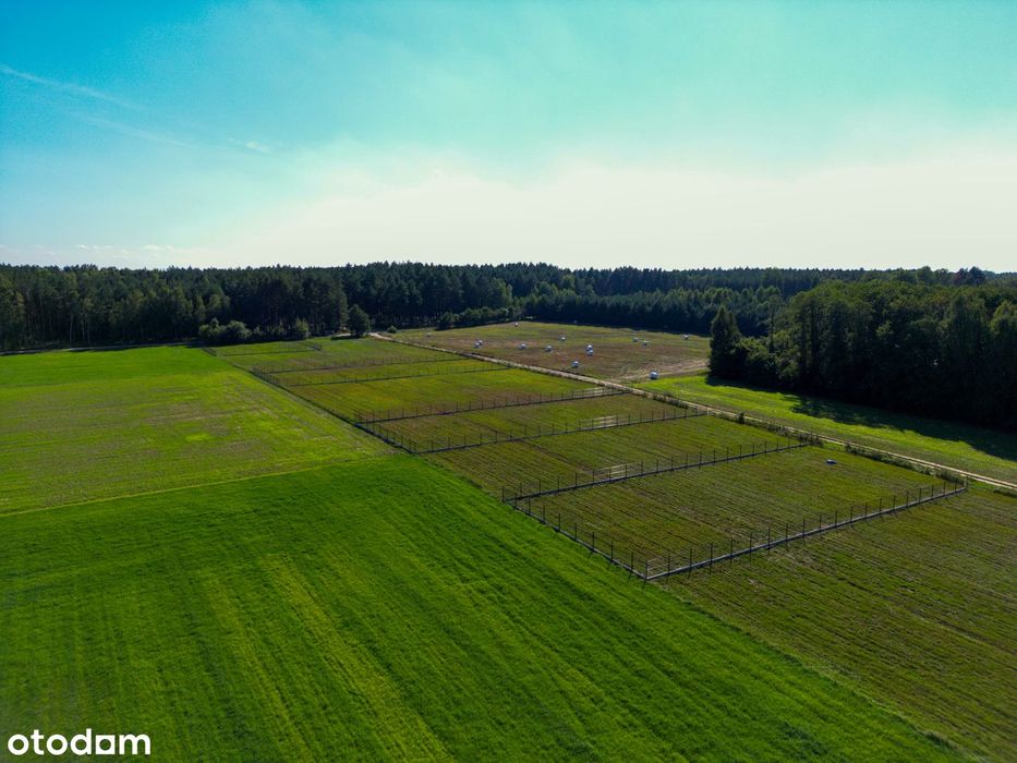Działki budowlane w otoczeniu natury. Pod dom lub inwestycje. Raty