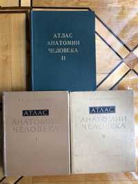 Атлас Анатомии человека Синельников 3 тома