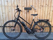 Rower elektryczny PEGASUS TECARO Bosch Performance CX NuVinci M 53