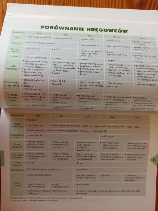 Tablice szkolne biologia adamantan