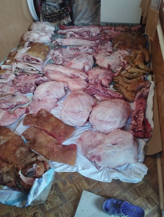 Тушка домашньої свинини.