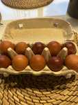 Jajka kur MARANS