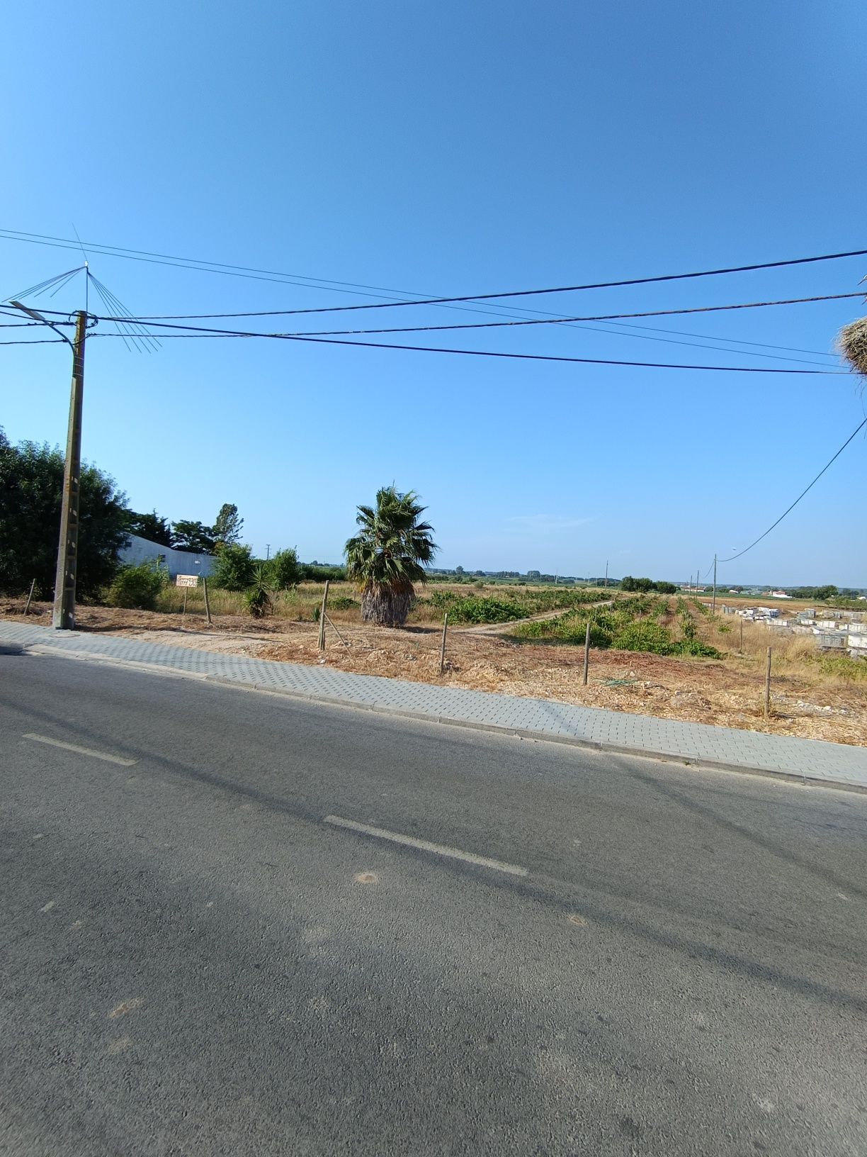 Terreno Urbano com área de cultivo