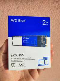 WD Blue SATA SSD 2TB. Dysk M.2 SATA. WDS200T2B0B
