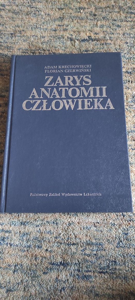 Zarys anatomii człowieka