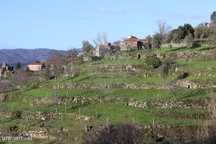 Terreno  para venda