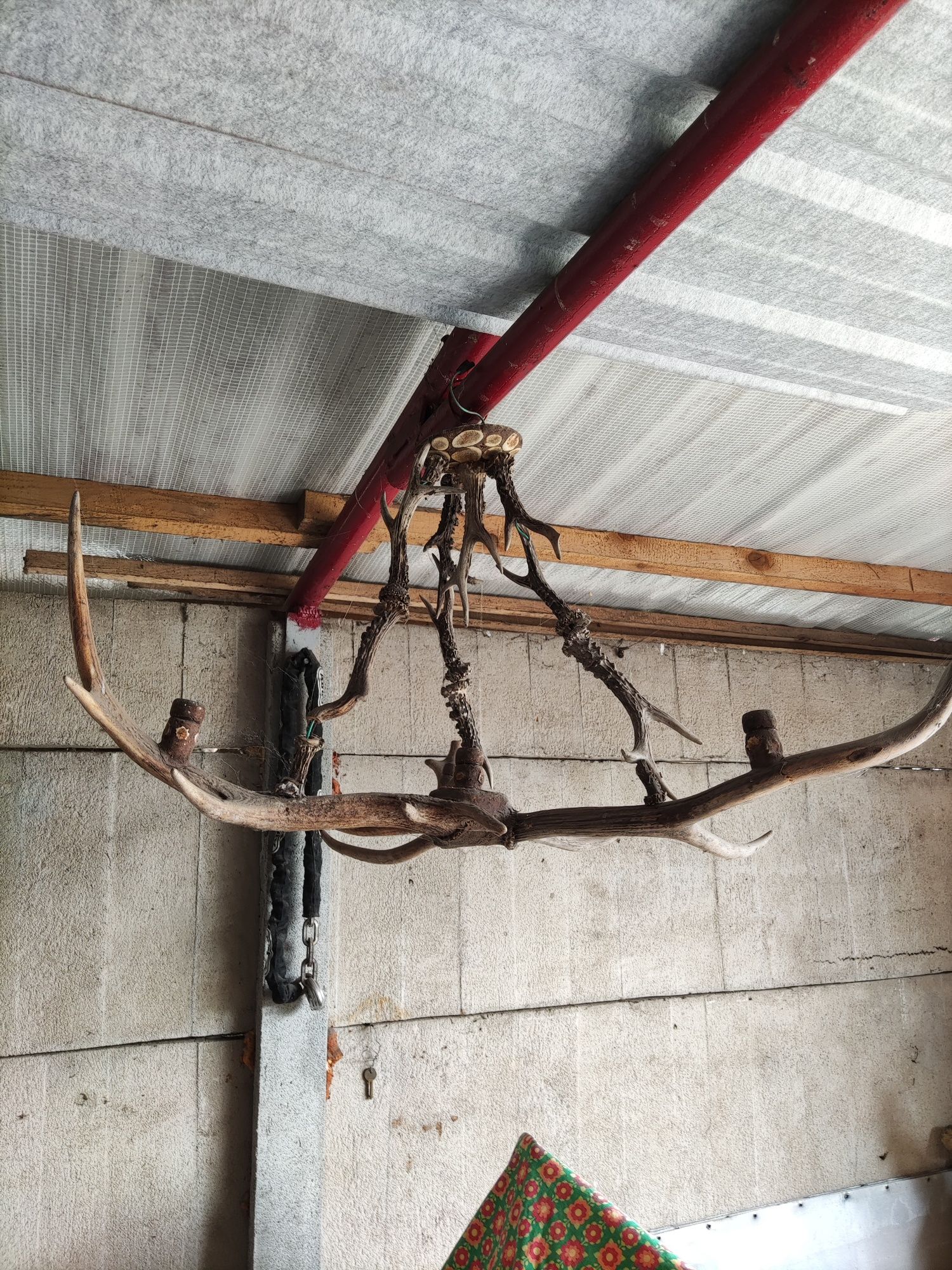 Lampa rogi jelenia