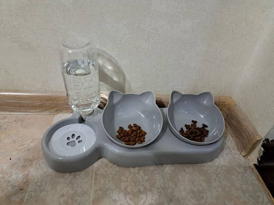 Набір для тварин мисочки і поїлка