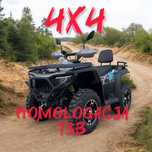 Bashan  Quad ALFARAD 350 EXPLORER 4x4 Homologacja!