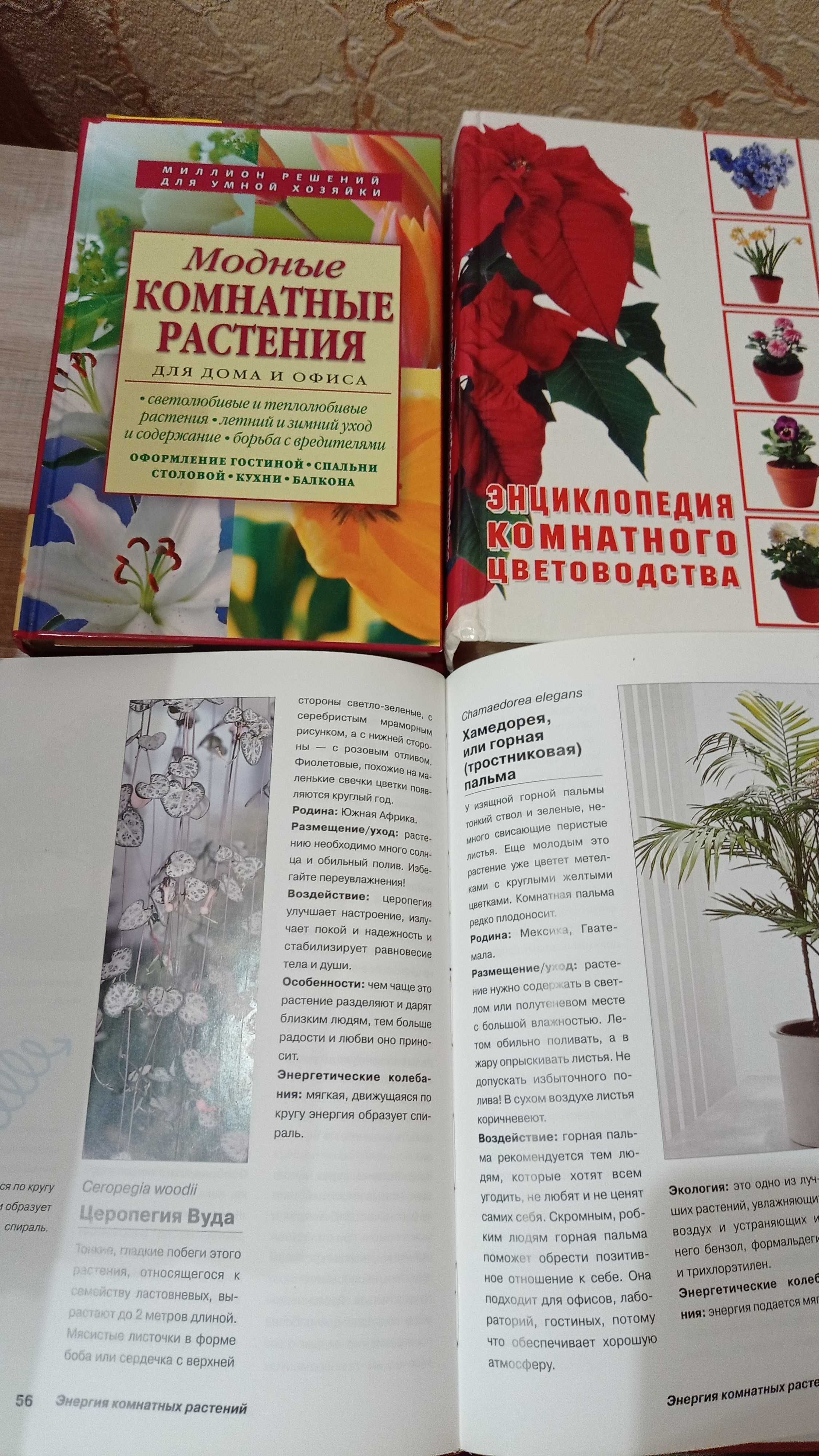 Книги про кімнатні рослини