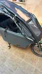 Rower Cargo (Dzieci) Dolly elektryk