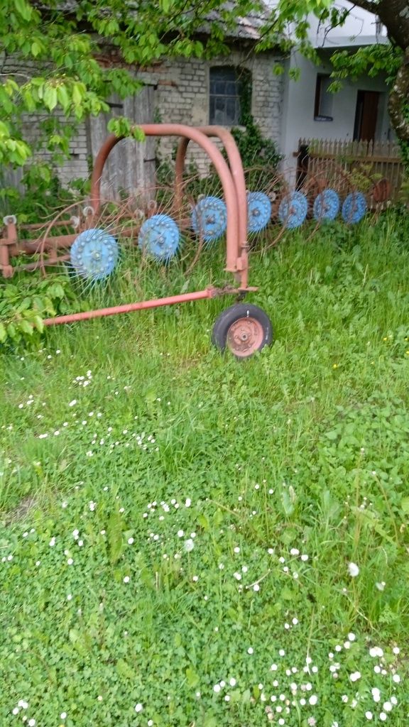 Oddam dwa hektary łąki do skoszenia
