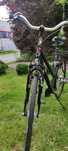 Rower damski KTM