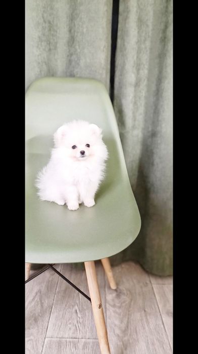 Біленька дівчинка