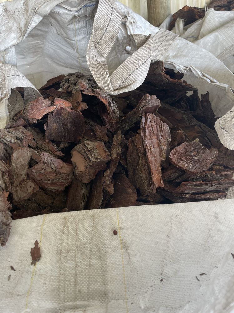 Vende-se Carrasca para jardim ou outros fins