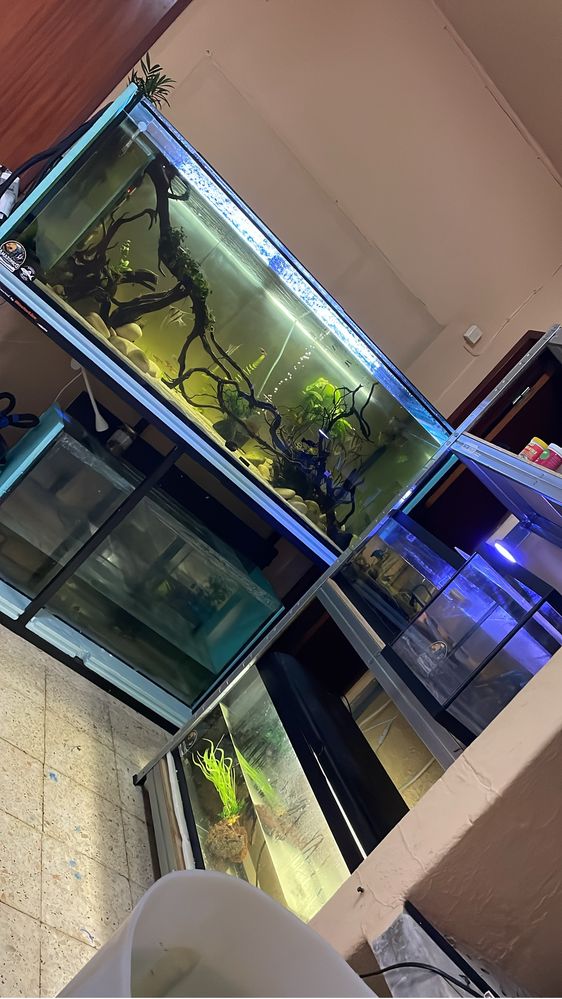 Troco Aquario com estrutura