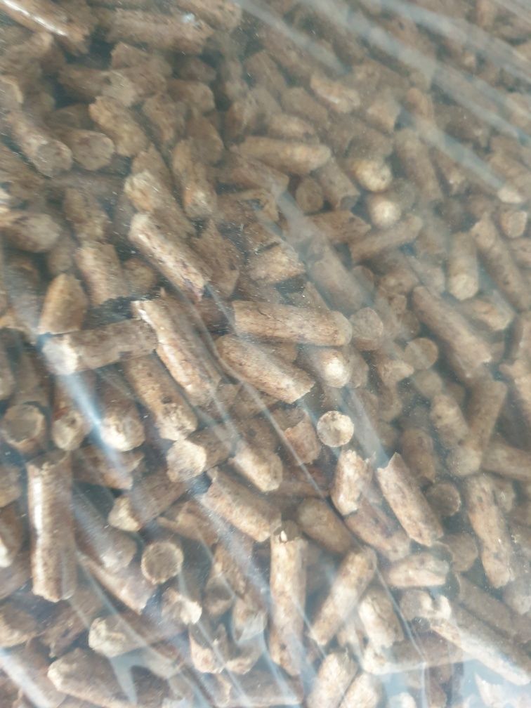 Żwirek dla świnek morskich 15kg naturalny Promocja