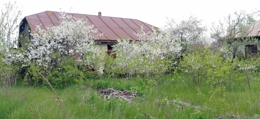 Продам будинок або як земельну ділянку
