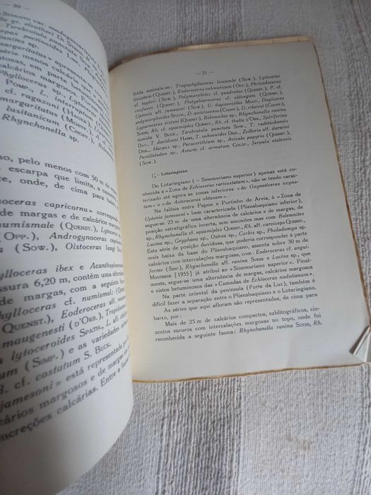 carta geológica de Peniche anos 60