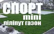 Низкорослый газон СПОРТ мини для ландшафтного озеленения семена