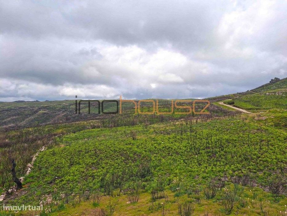 Quinta de 36 hectares - Várias edificações