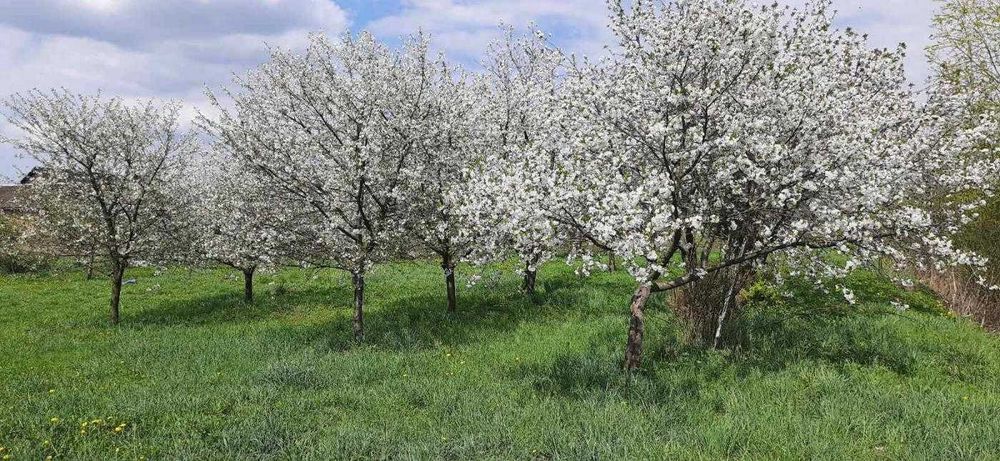 Будинок,Двоповерховий, Ременів, Львів