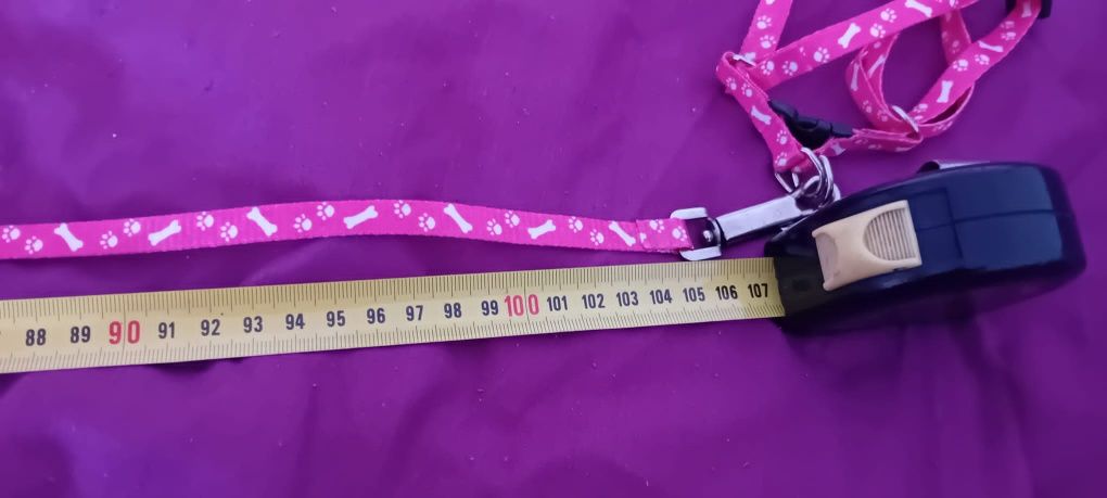 Trela para cão de porte pequeno
