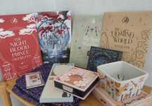 Книжковий мерч від Fairyloot