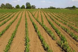 Nawigacja rolnicza RTK, GPS, jazda równoległa, ISOBUS.