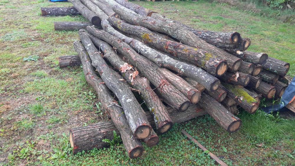 Dąb deski brusy kołki słupki huśtawka ławka etc itd