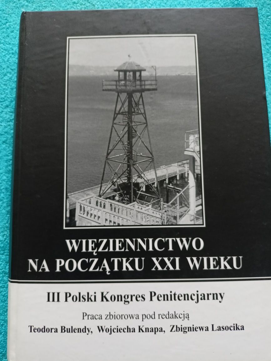 Więziennictwo na początku xxi wieku praca zbiorowa