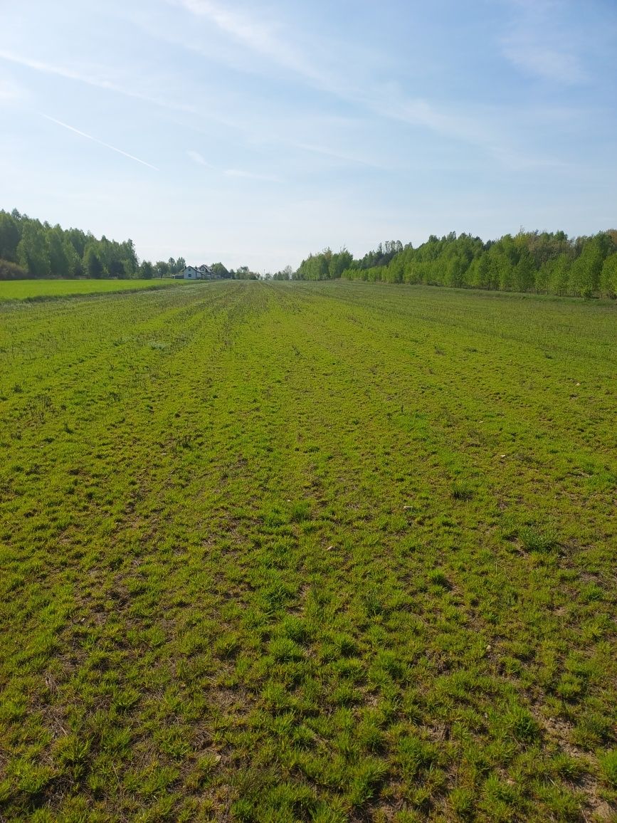 Działki budowlane