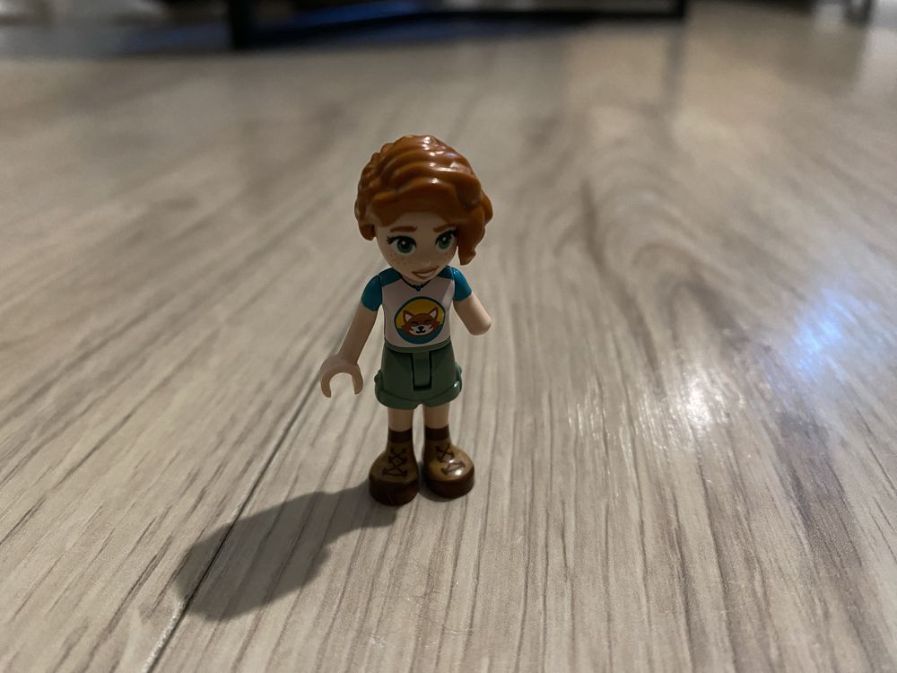 LEGO Friends 41730 Dom Autumn