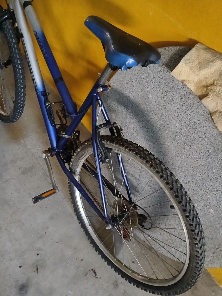 Bicicleta de montanha