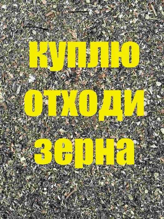 Зернотходы пшеницы и отходы подсолнечника.