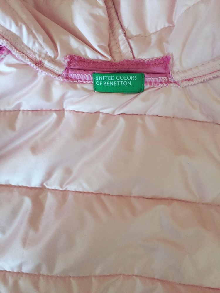 Camisola e Casaco Benetton para cães de pequeno porte ou gatos