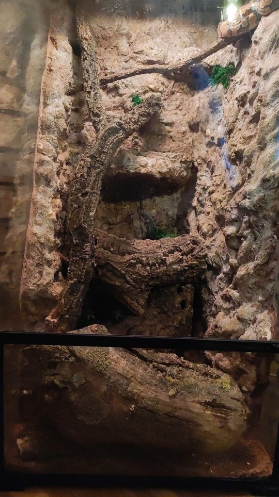 Terrarium szklane IG REPTI z wyposażeniem dla kameleona , gekona  itp