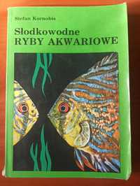 Słodkowodne ryby akwariowe, S. Kornobis