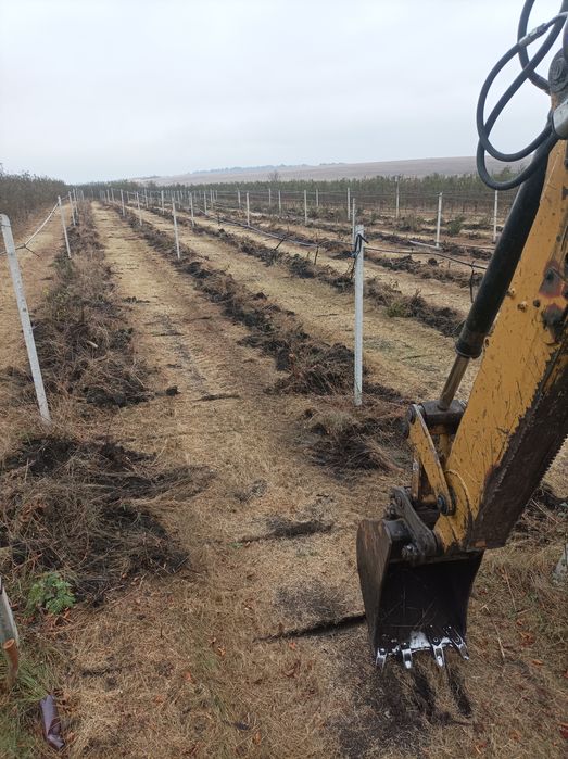 Корчевание деревьев