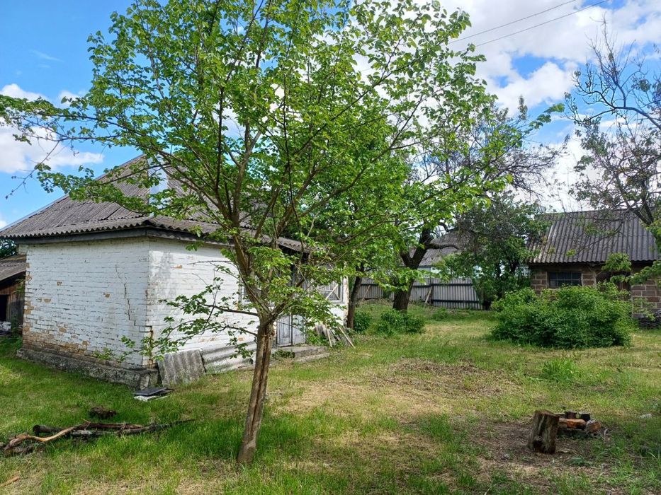 Продаж старого будинку на земельній ділянці 0,25 сот біля лісу
