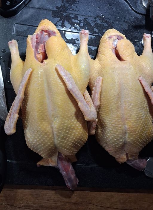 Świeża Tusza  Kaczki  lub Kaczora