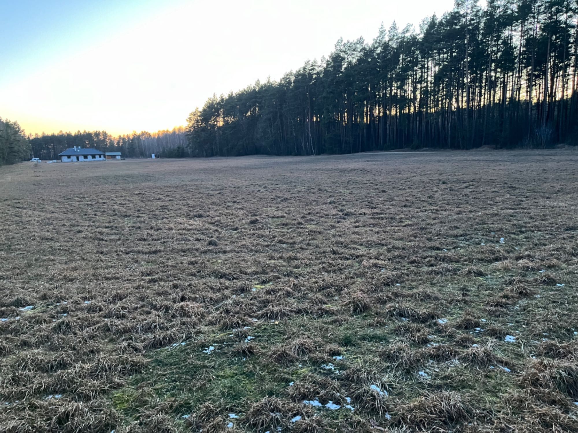 Super działka budowlana otoczona lasem 1669m2. Cena do końca roku