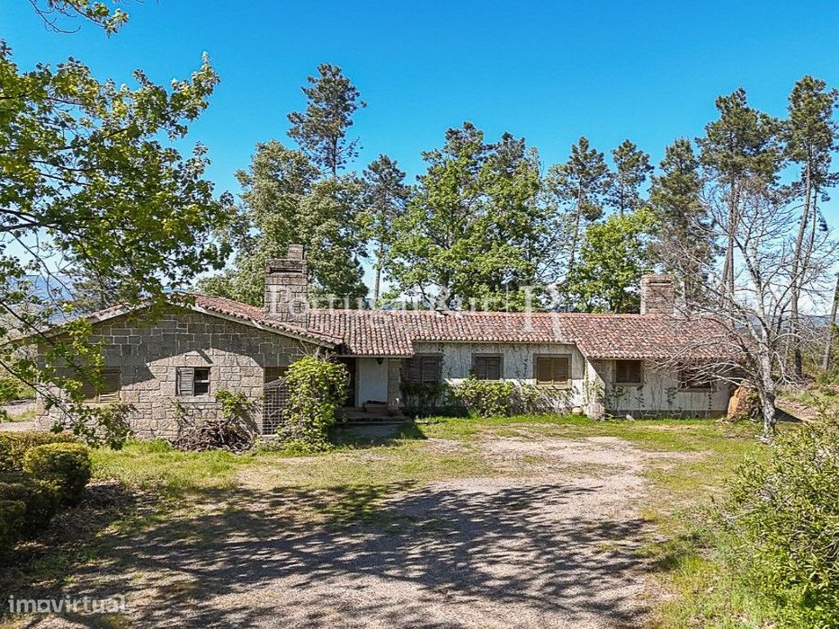 Quinta com chalé e 2 casas no Fundão